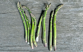 Asparagus