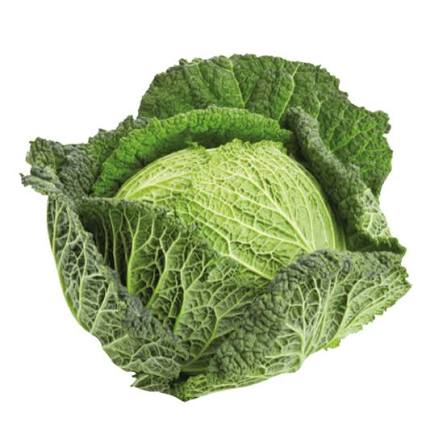 Savoy Cabbage